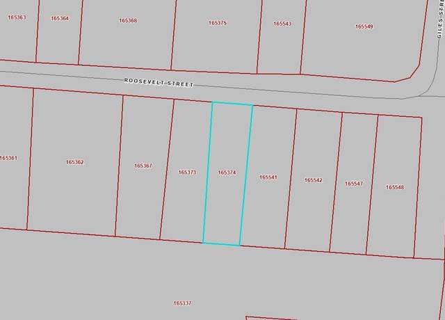 Property at 0 Roosevelt St St, Mebane, NC 27302