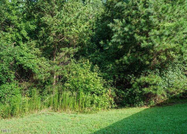 Property at Tbd St Luke Church Rd, Goldston, NC 27252