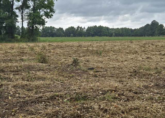 Property at 0 Union Grove Church Rd, Dunn, NC 28334