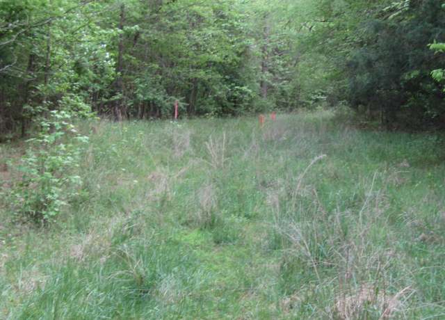 Property at 000 Teague Trl, Snow Camp, NC 27349