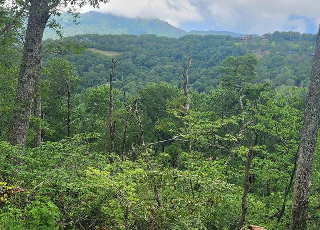 Property at 266 Little Sugar Ln, Sugar Mountain, NC 28604