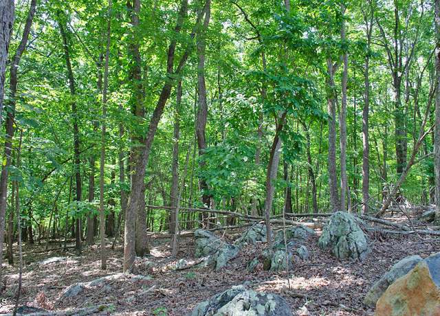 Property at 148 Lookout Ridge Way, Rougemont, NC 27572