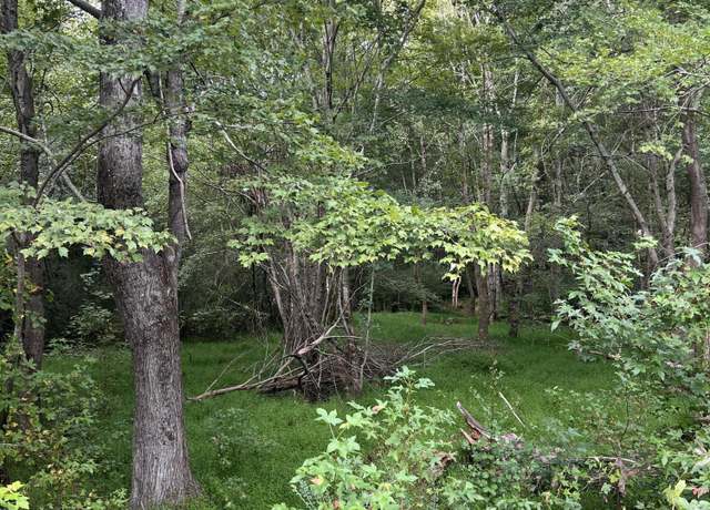 Property at Lot 3 Us 264a, Bailey, NC 27807