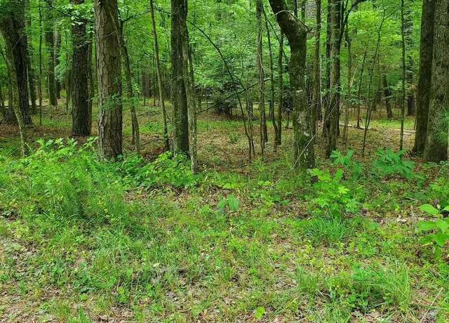 Property at 0 Lot 20 Pool Rock Rd, Henderson, NC 27537