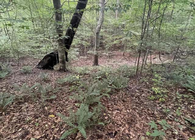 Property at 0 Bethel South Fork Rd, Snow Camp, NC 27349