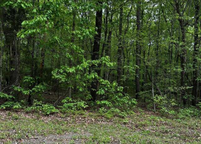 Property at Lot 25 Wild Azalea Pl, Rougemont, NC 27572