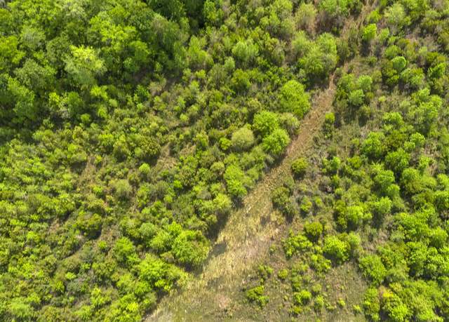 Property at 0 Hardy Graham Rd, Maple Hill, NC 28454