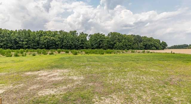 Photo of 1986 NE Antioch Rd, Pikeville, NC 27863