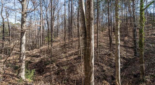 Photo of 106 N Fern Abbey Ln, Cary, NC 27518