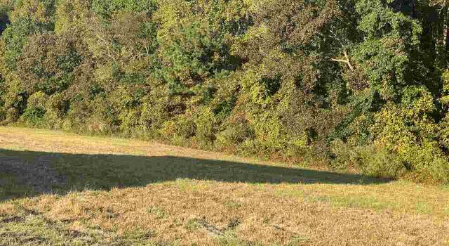 Photo of 409 Mcarthur Rd, Broadway, NC 27505