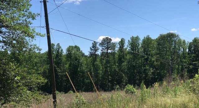 Photo of Lot 1 Chris Cole Rd, Sanford, NC 27332