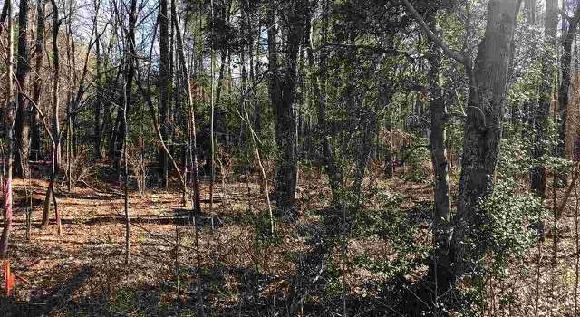 Photo of Lot A1 Moore Mountain Rd, Pittsboro, NC 27312