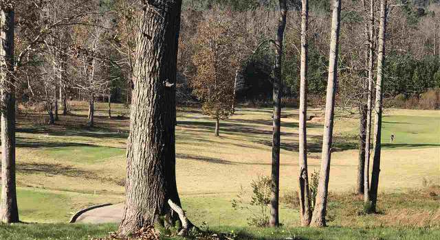 Photo of 41 Golfers Vw, Pittsboro, NC 27312