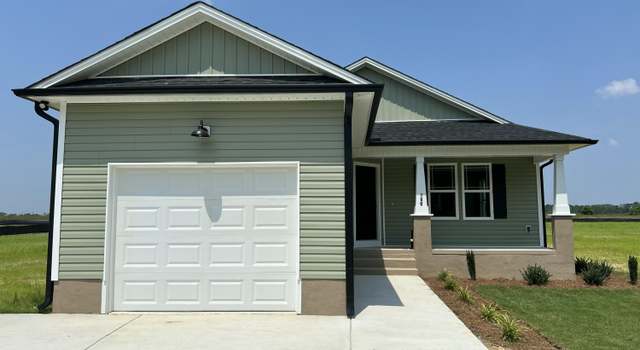 Photo of 163 Grace Pond Ave, Benson, NC 27504