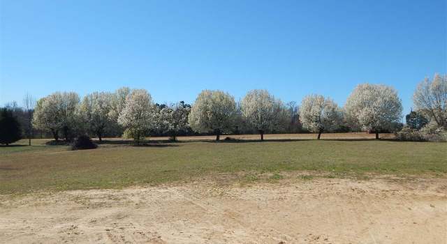 Photo of 1503 Tarheel Rd, Benson, NC 27504