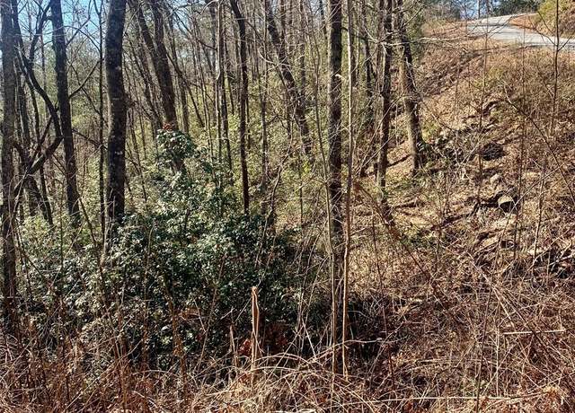 Property at Lots 62&63 Oak Laurel Rd Unit 62,63, Brevard, NC 28712
