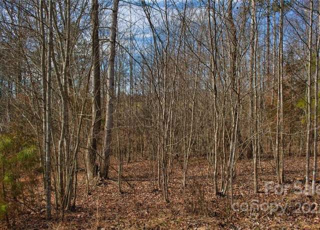 Property at 0 Woodstock Ln #175, Rutherfordton, NC 28139