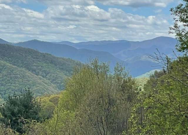 Property at 0000 Jerome Ln, Leicester, NC 28748