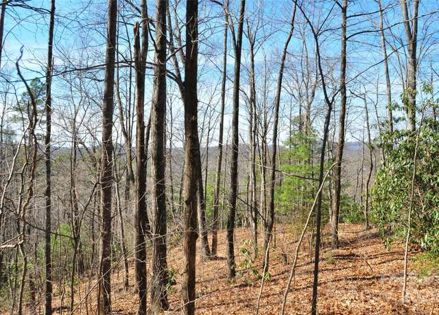 Property at 0 Stoneledge Rd, Hendersonville, NC 28792