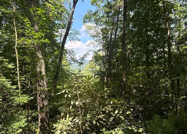 Property at TBD W Birch Ln, Brevard, NC 28712