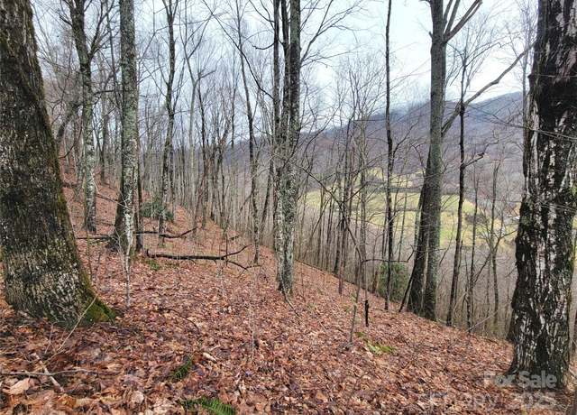 Property at 820 Chestnut Flats Ln #4, Waynesville, NC 28786