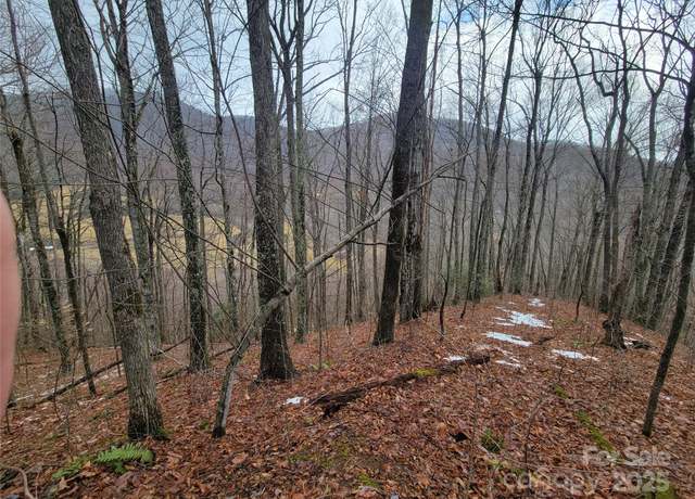 Property at 820 Chestnut Flats Ln #4, Waynesville, NC 28786