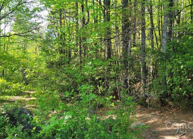 Property at B1, B2 & B3 Off Old Toxaway Rd, Brevard, NC 28712