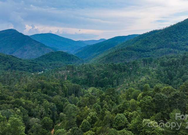 Property at 000 Poplar Creek Rd, Green Mountain, NC 28740