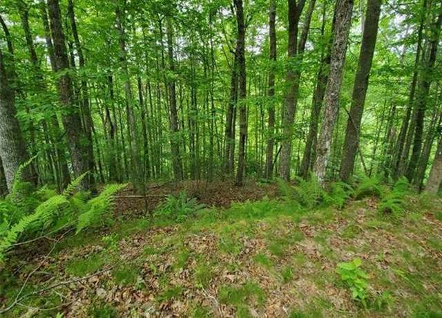 Property at 141 River Club Trl #8, Marshall, NC 28753