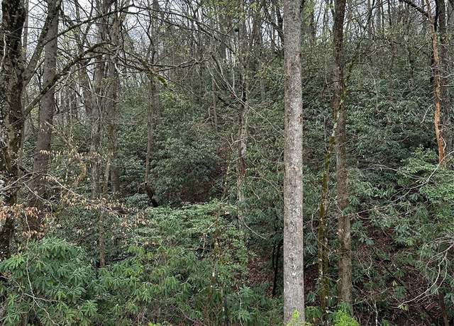 Property at Off Cannon Rd, Marion, NC 28752