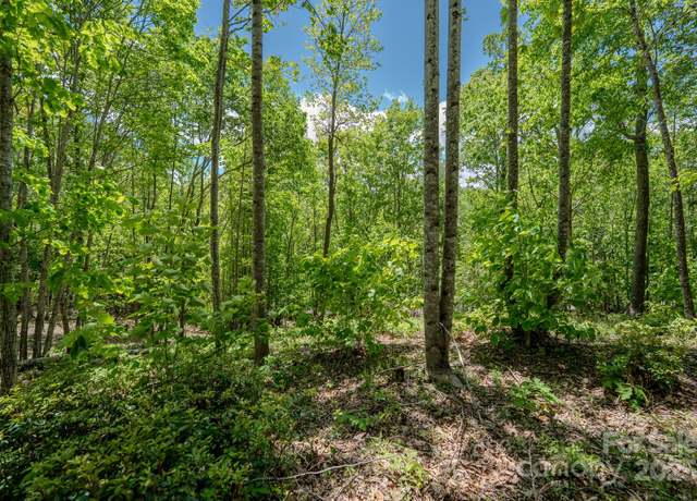 Property at 0 Beaver Dam Rd, Elk Park, NC 28622