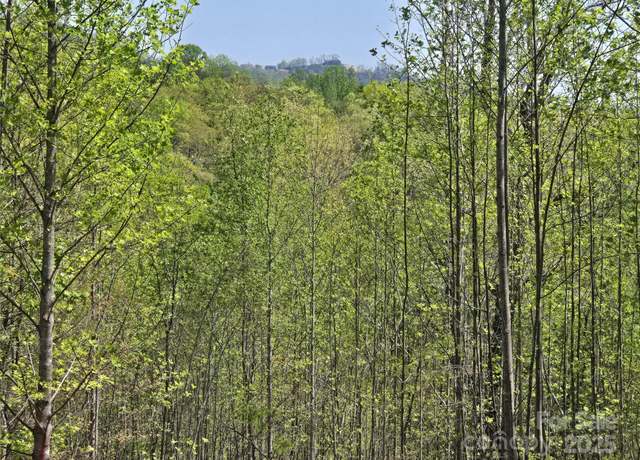 Property at Lot 17 Touch Me Not Trl, Lake Lure, NC 28746