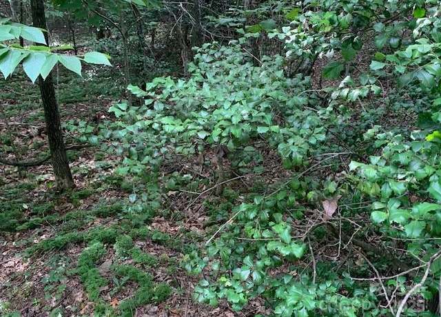 Property at 7.67 AC. Holbert Cove Rd Unit 7.67 AC., Saluda, NC 28773