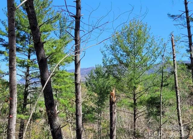 Property at 167 Fox Ridge Trl, Marion, NC 28752