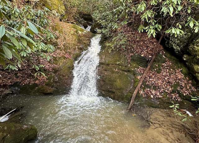 Property at 1362 Anson G. Betts Rd, Marshall, NC 28753