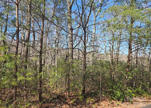 Property at Lot 39 Flynn Ct, Lake Lure, NC 28746