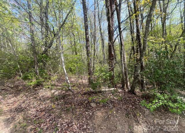 Property at 00 Western Red Bird Dr, Hendersonville, NC 28792