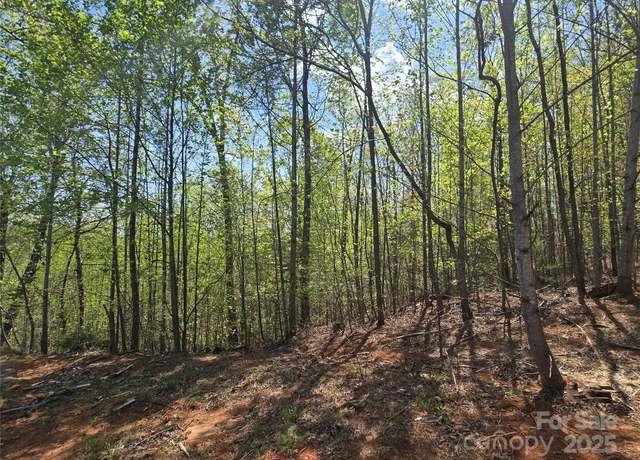Property at Lot 20 Touch Me Not Trl, Lake Lure, NC 28746