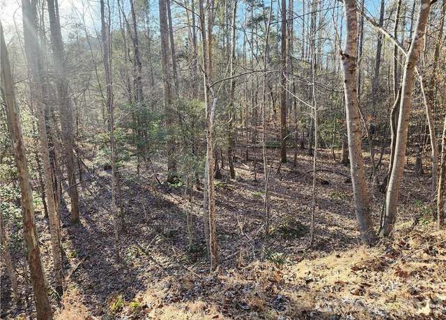 Property at 0 Finch St, Lake Lure, NC 28746