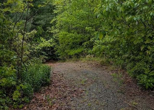 Property at 821 Turkey Pen Gap Rd, Horse Shoe, NC 28742