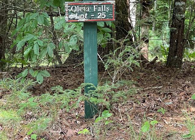 Property at #25 Oleta Mill Trl, Dana, NC 28792