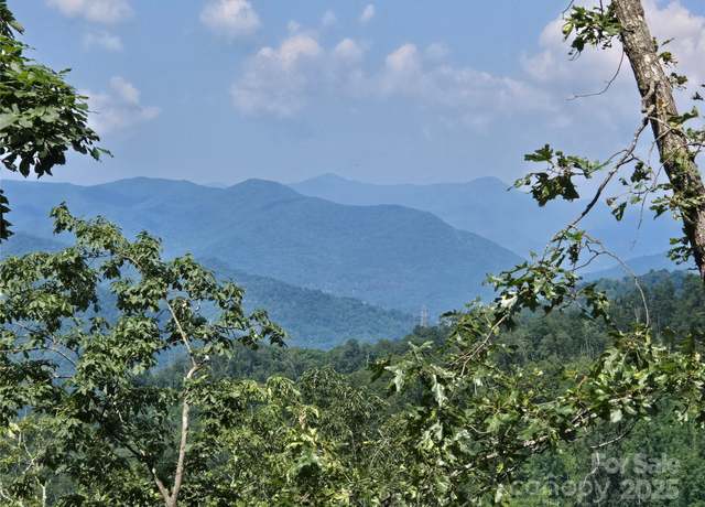 Property at 0 Buffalo Rdg, Canton, NC 28716