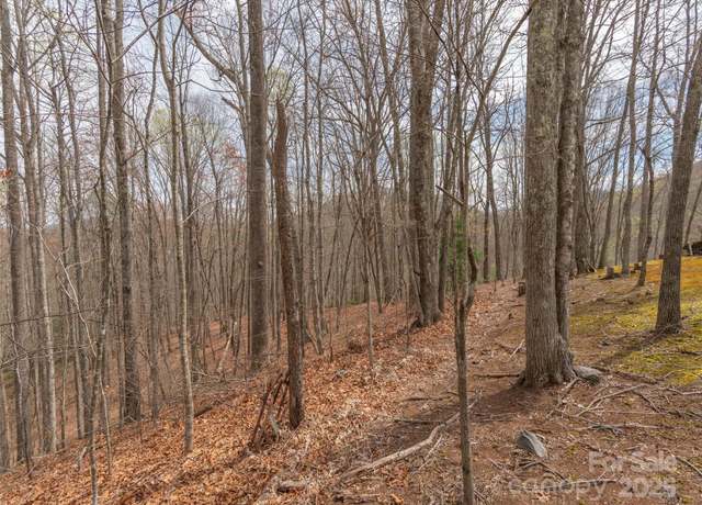Property at 00 Michele Ln #4, Leicester, NC 28748
