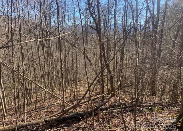 Property at 00 Ashe Branch Cir Unit 38C, Hayesville, NC 28904