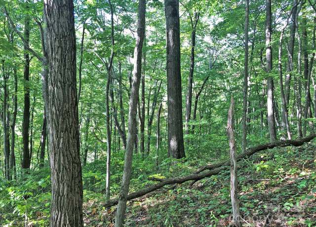 Property at 112 & 113 Grouse Rd, Clyde, NC 28721