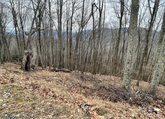 Property at 102 Flame Azalea Ln, Mars Hill, NC 28754