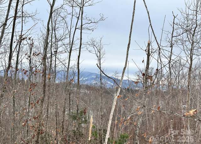 Property at 0000 Lot 78 Black Bear Xing, Elk Park, NC 28622