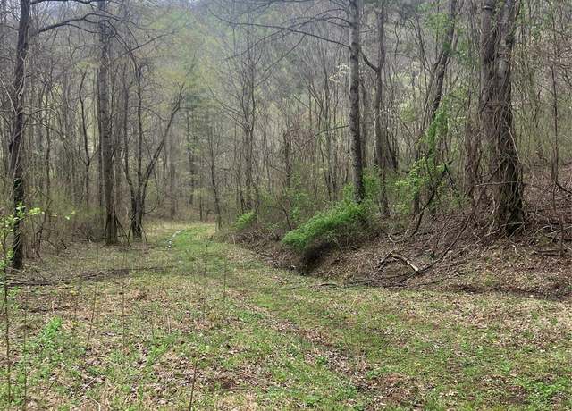 Property at 9999 Davidson Gap Rd, Leicester, NC 28748
