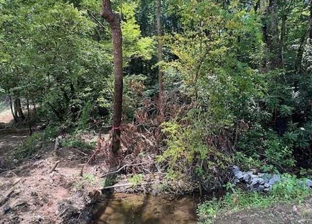 Property at Lots P12-22 & P12-23 Green River Cove Rd Unit 22 & 23, Saluda, NC 28773