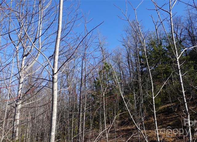 Property at 62 Stone Brook Trl #10, Black Mountain, NC 28711